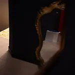 Maison Noir *